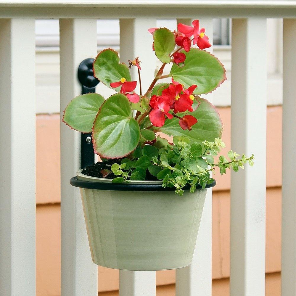 Buy Flower Pot Ring, 6-Inch Online With Canadian Pricing – Urban Nature ...