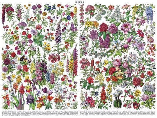 Buy Flowers 1000pc Puzzle Online With Canadian Pricing – Urban