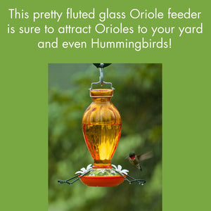 Fluted Glass Oriole Feeder