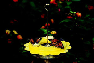 Flutterby Butterfly Feeder 12 oz.