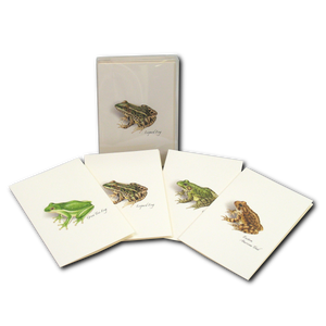 Frog & Toad Assortment Boxed Notes