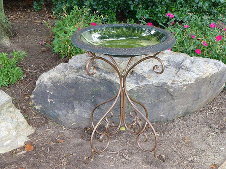 Gloss Bird Bath Bowl with Matte Rim, Green