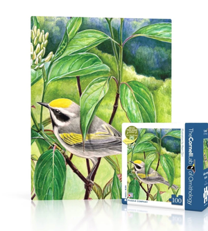 Gold-Winged Warbler 100pc Puzzle