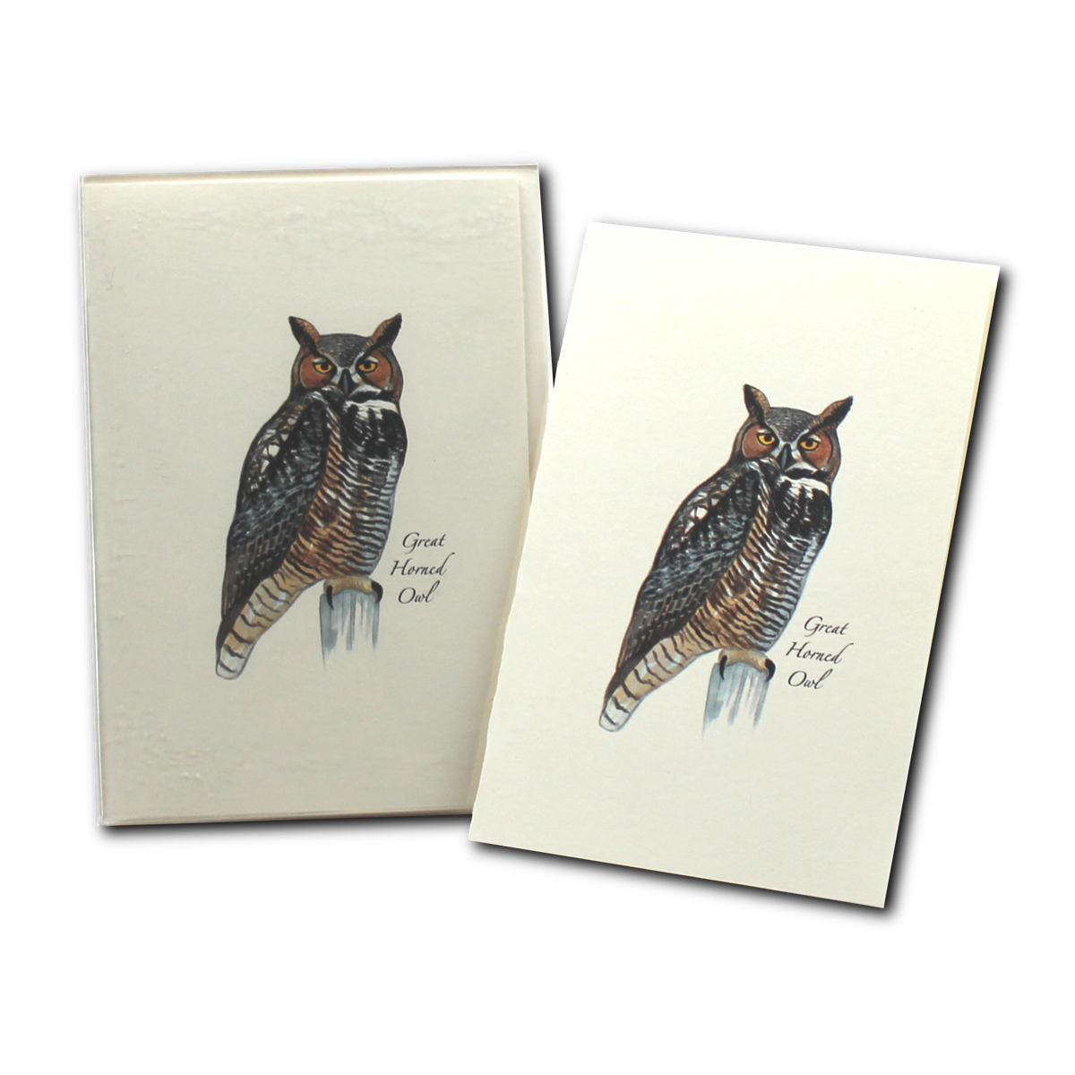 Buy Great Horned Owl Boxed Notes Online With Canadian Pricing