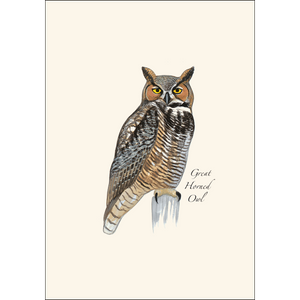Great Horned Owl Boxed Notes