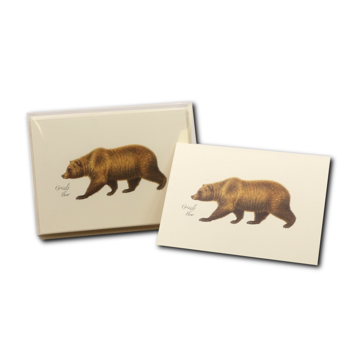 Grizzly Bear Notecards