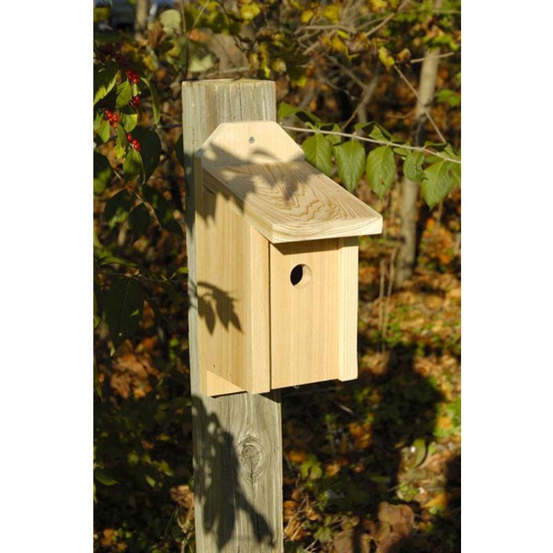 Wren Joy Box Birdhouse