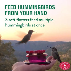 Handheld & Tabletop Hummingbird Feeder