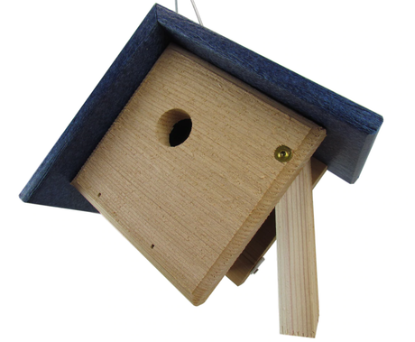 Hanging Wren House, Blue Roof