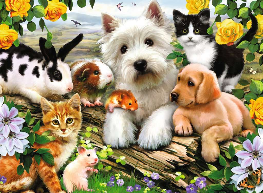 Happy Animal Buddies 300pc – Urban Nature Store