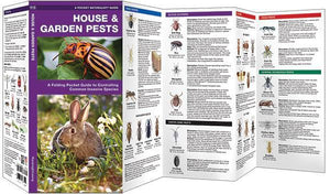 House & Garden Pests