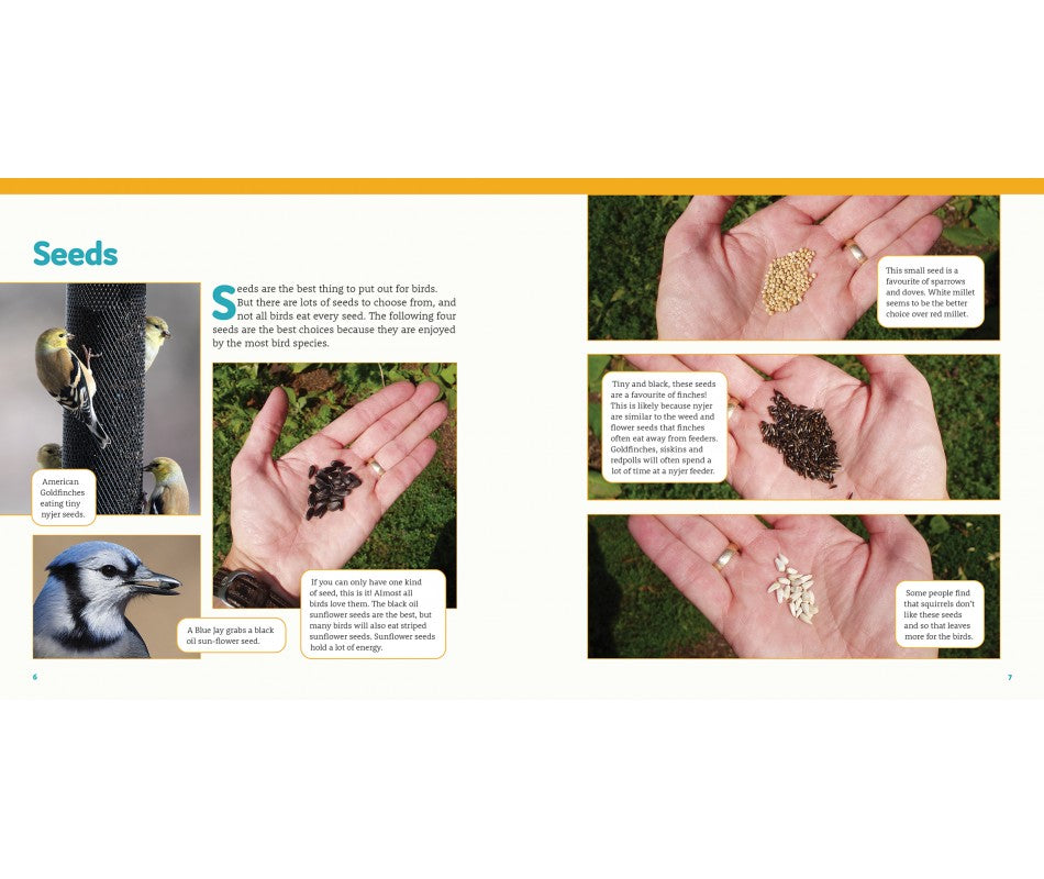 Buy How to Feed Backyard Birds A StepbyStep Guide for Kids Online With Canadian Pricing