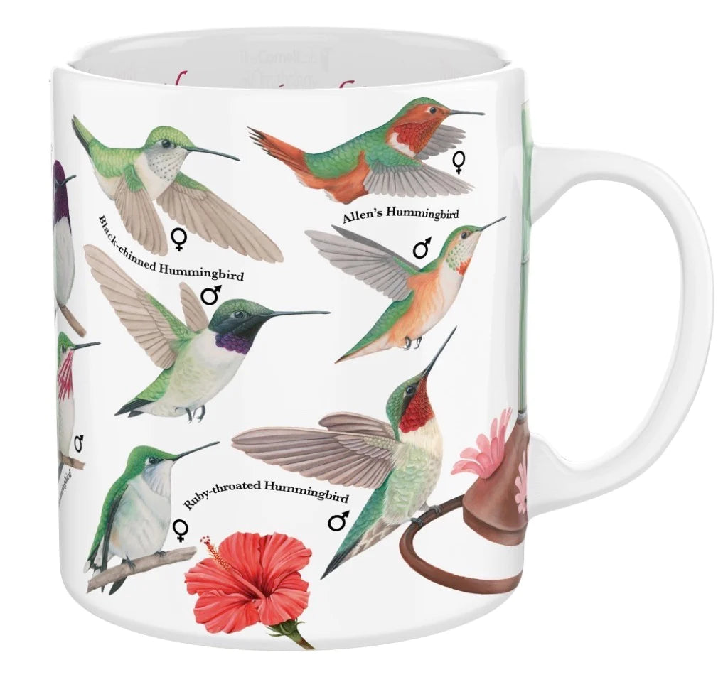  Humming Birds・ Curzon 　他皿合計 7枚 Hummingbirds Mug 15oz – Urban Nature Store