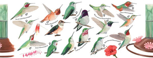Hummingbirds Mug 15oz