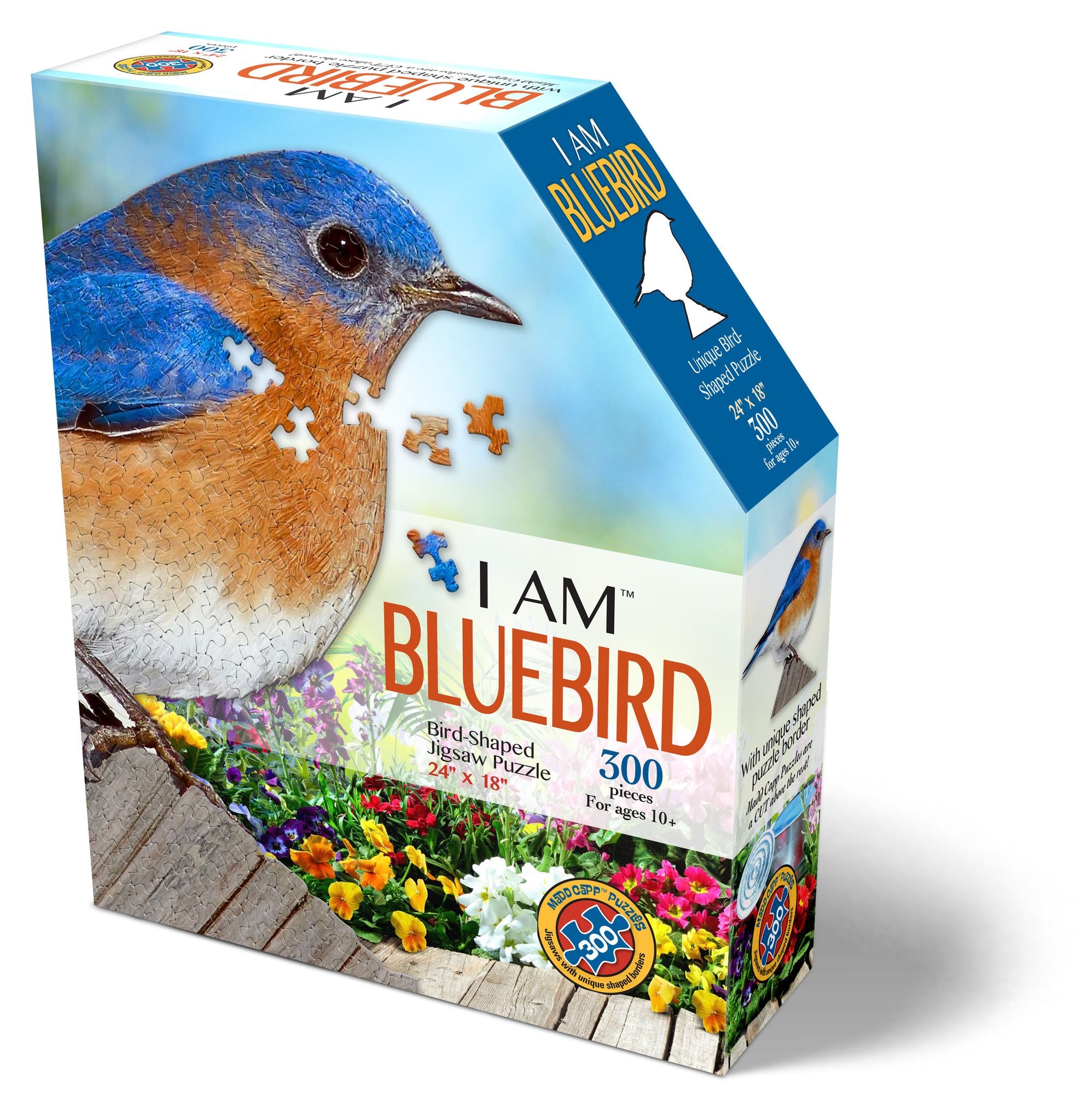 Buy I Am Bluebird 300pc Puzzle Online in Canada - Urban Nature Store