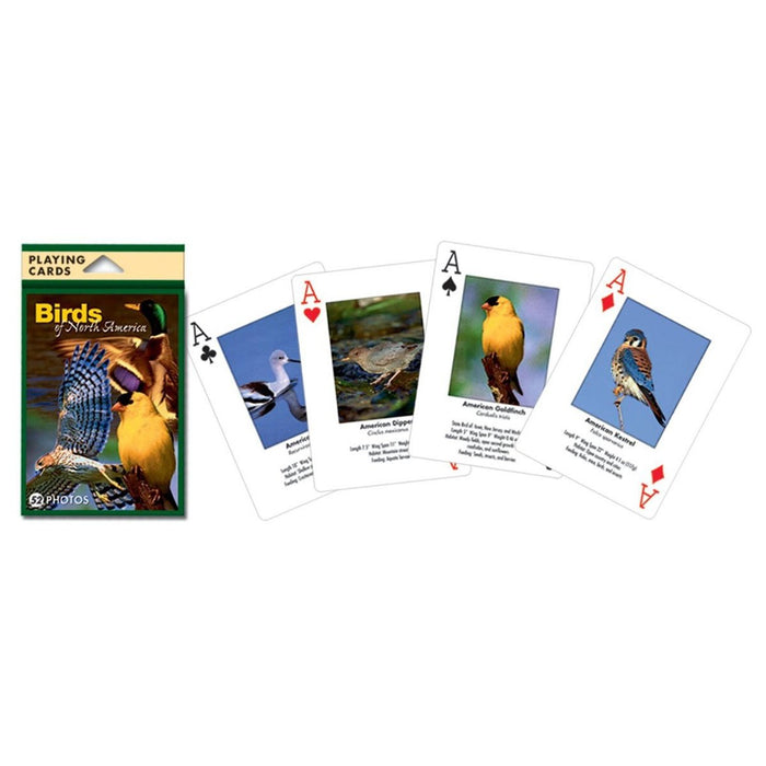 Birds of North America Playing Cards