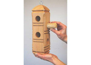 Insects & Nuts Suet Plugs