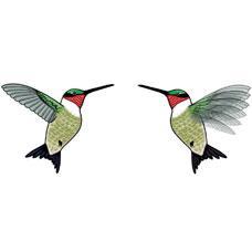 Eco Friendly Ruby-throated Hummingbird Earrings