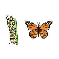 Eco Friendly Monarch Butterfly Earrings