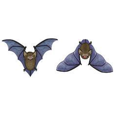 Eco Friendly Little Brown Bat Earrings