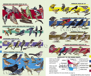 Kaufman Field Guide to Birds of North America