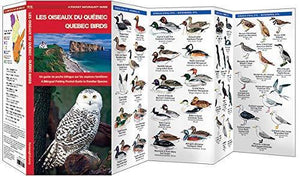 Les Oiseaux du Quebec/Quebec Birds