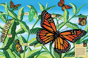 Life Cycle of A Monarch Butterfly, 48-Piece Floor Puzzle