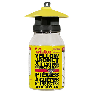 Victor Flying Insect & Yellow Jacket Traps