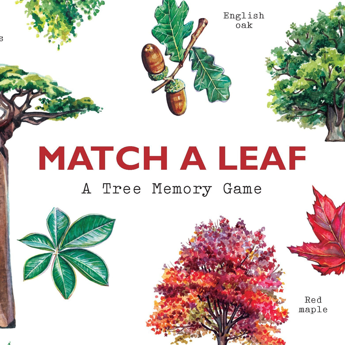 Buy Match a Leaf: A Tree Memory Game Online With Canadian Pricing ...