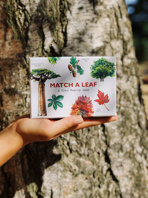 Match a Leaf: A Tree Memory Game
