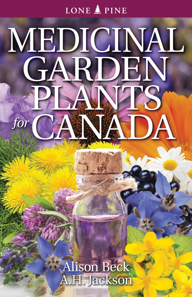 Buy Medicinal Garden Plants for Canada Online With Canadian Pricing