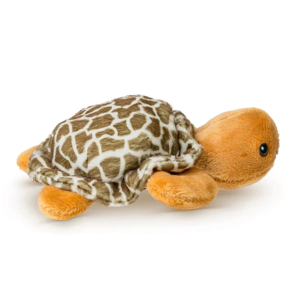 Tortoise plush online