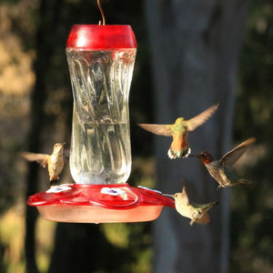 More Birds Orion Hummingbird Feeder