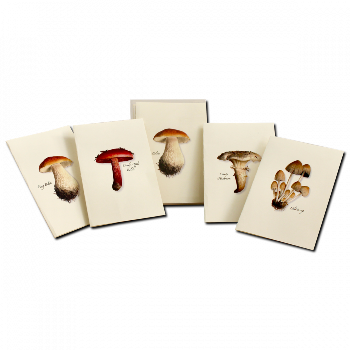 Mushrooms Assorted Notecards