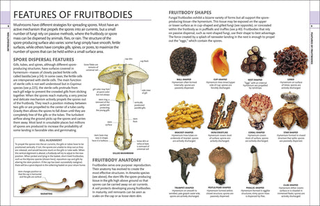 Mushrooms, Hardcover