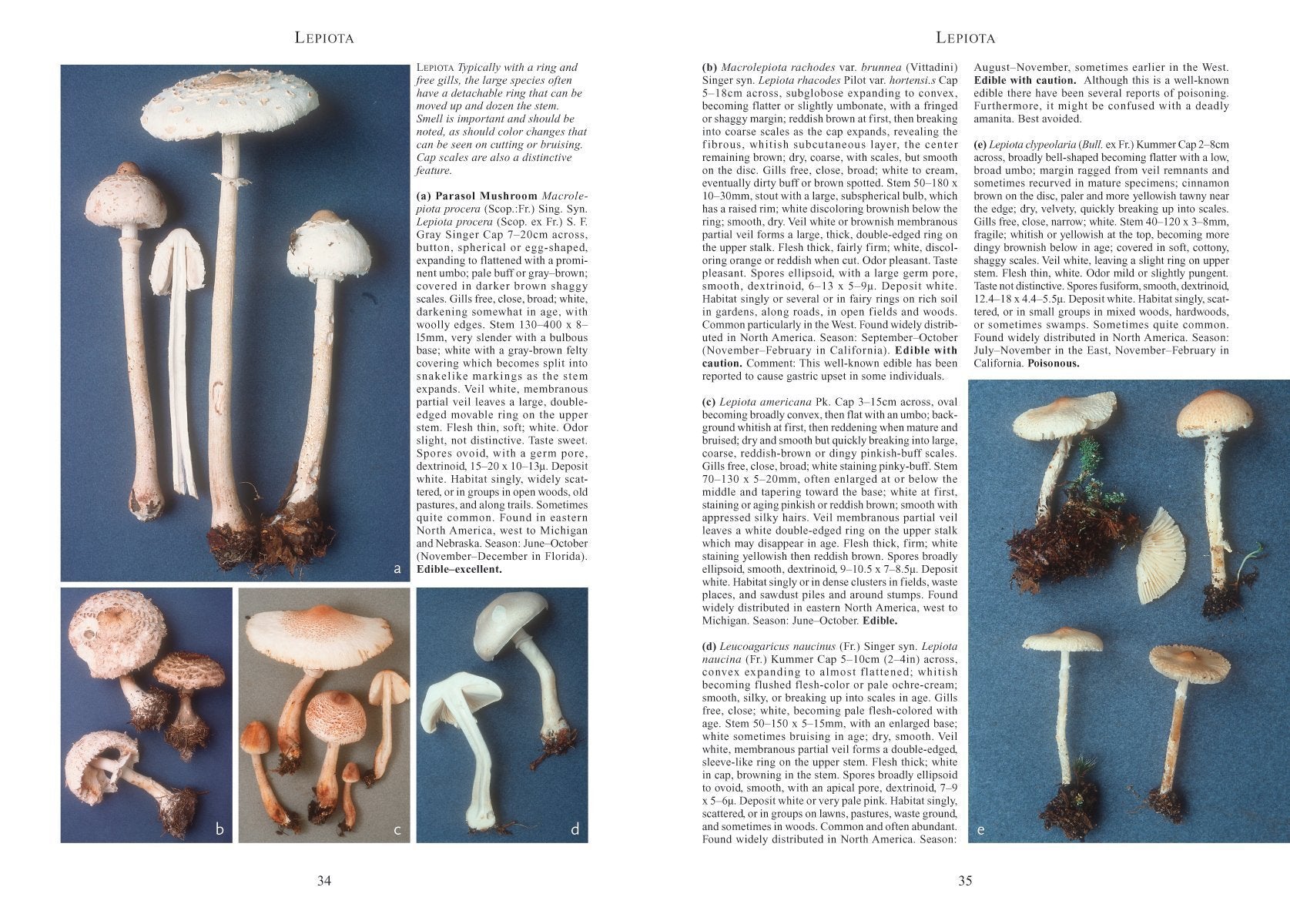 Buy Mushrooms and Other Fungi of North America Online in Canada