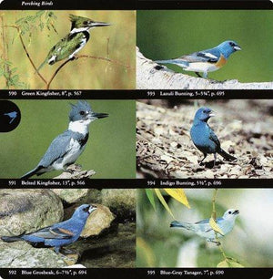 National Audubon Society Field Guide to North American Birds