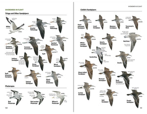 National Geographic Field Guide to the Birds of North America
