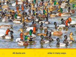 National Geographic Pre-Reader: Ducks