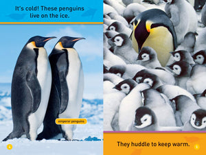 National Geographic Pre-Reader: Hello, Penguin