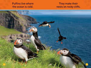 National Geographic Pre-Reader: Puffins