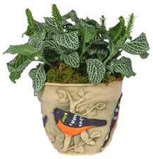 Oriole Hand-Painted Planter, 8 Inch (Store Pickup Only)