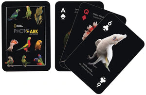 Parrots Playing Cards