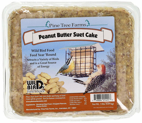 Peanut Butter Wild Bird Suet Cake, 3-Pound
