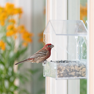 Perky-Pet Dual Seed Window Bird Feeder