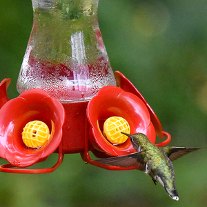 Perky-Pet Favored Pinch-Waist Hummingbird Feeder