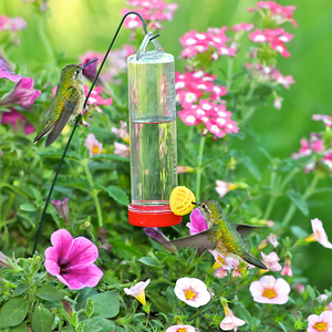 Perky-Pet Planter Box Plastic Hummingbird Feeder With Hanger