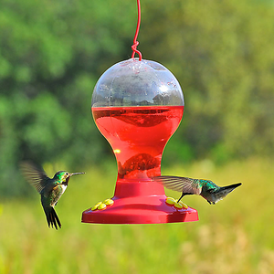 Perky-Pet Premium Ready-to-Use Hummingbird Nectar (Store Pickup Only)