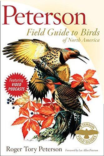 Buy Peterson Field Guide to Birds of North America Online in