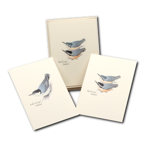 Peterson's Bird Assortment III Boxed Notes